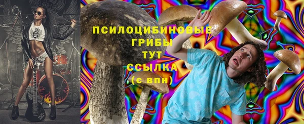 гашик Алзамай