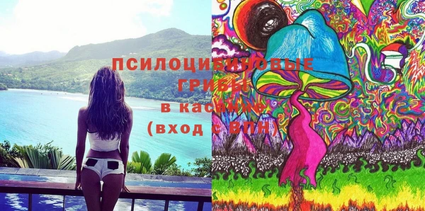 молекула духа Алексеевка
