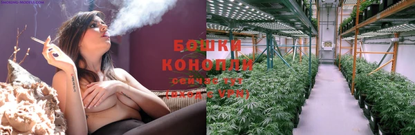 твердый Протвино
