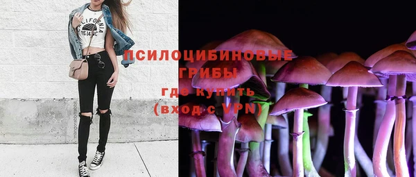 твердый Приозерск