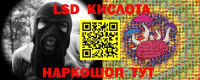 кокс Краснодар
