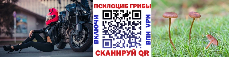 Галлюциногенные грибы Magic Shrooms kraken маркетплейс Заволжье