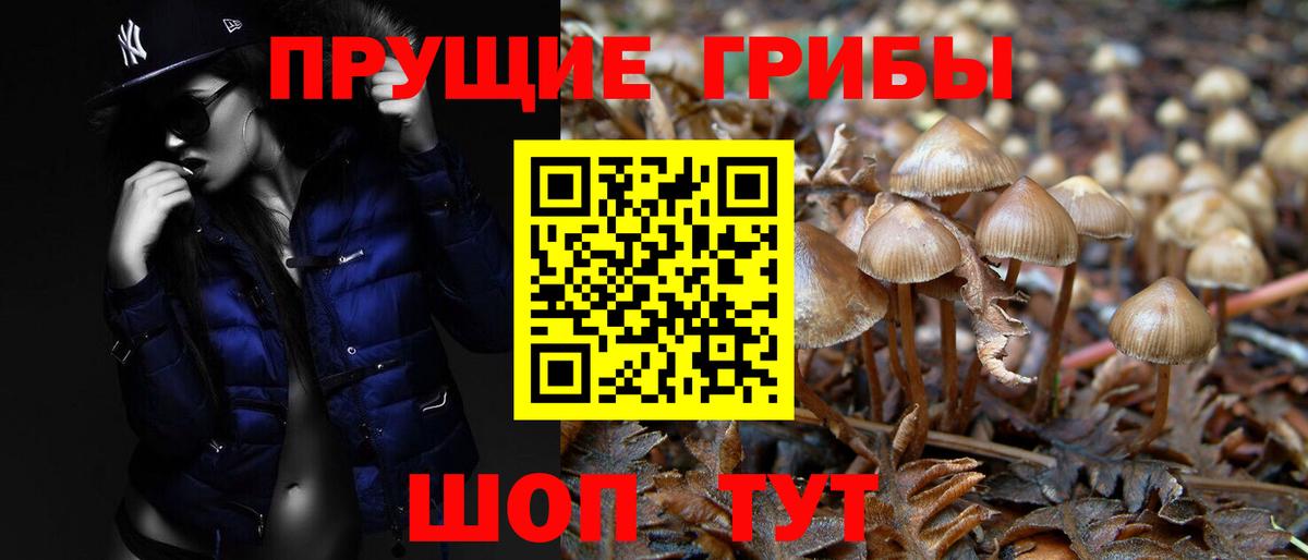 Галлюциногенные грибы GOLDEN TEACHER  Псилоцибиновые грибы мухоморы  Заволжье  Вход с VPN 