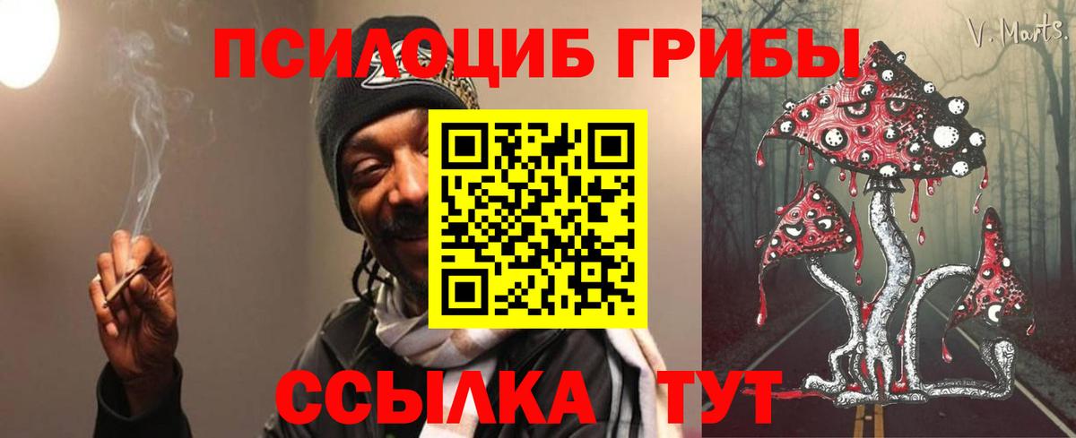 Псилоцибиновые грибы MAGIC MUSHROOMS Заволжье
